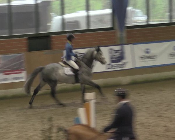 Reitturnier Heiden 2023