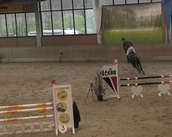 Reitturnier Heiden 2023