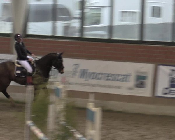 Reitturnier Heiden 2023