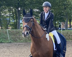 dressage horse Flint 95 (Hanoverian, 2012, from Fuechtels Floriscount OLD)