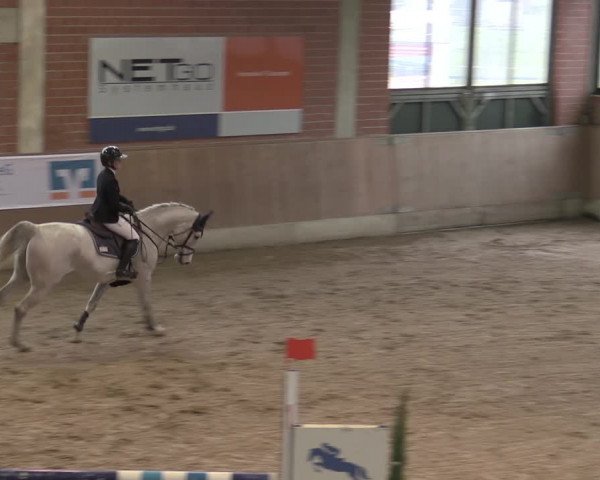 Reitturnier Heiden 2023