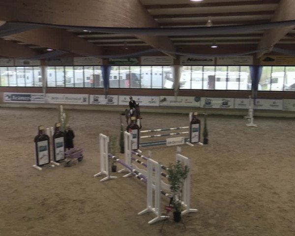 Reitturnier Heiden 2023