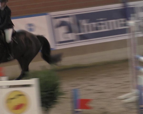 Reitturnier Heiden 2023