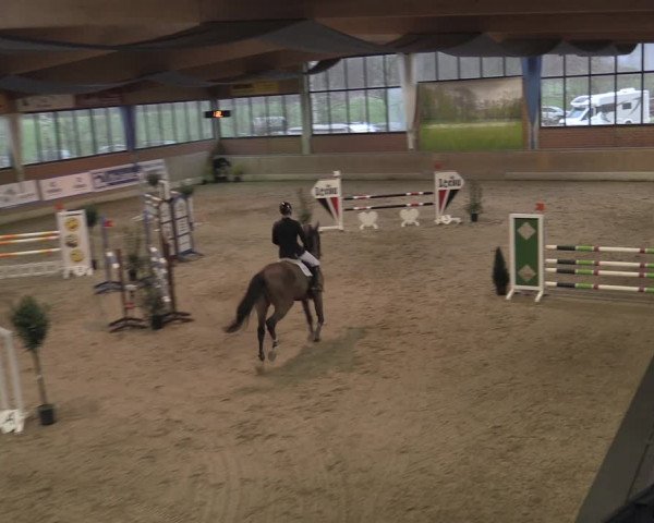Reitturnier Heiden 2023