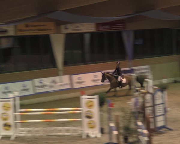 Reitturnier Heiden 2023