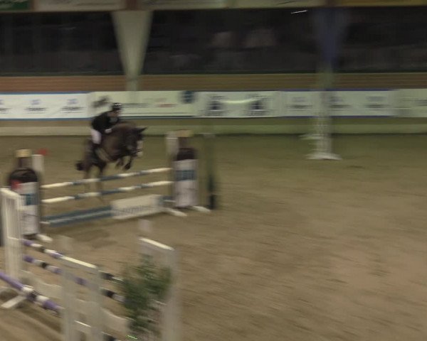 Reitturnier Heiden 2023