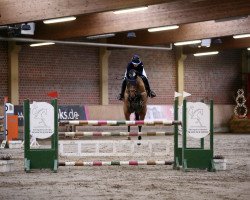 jumper Comme Jolie T (Westphalian, 2017, from Comme il Faut)