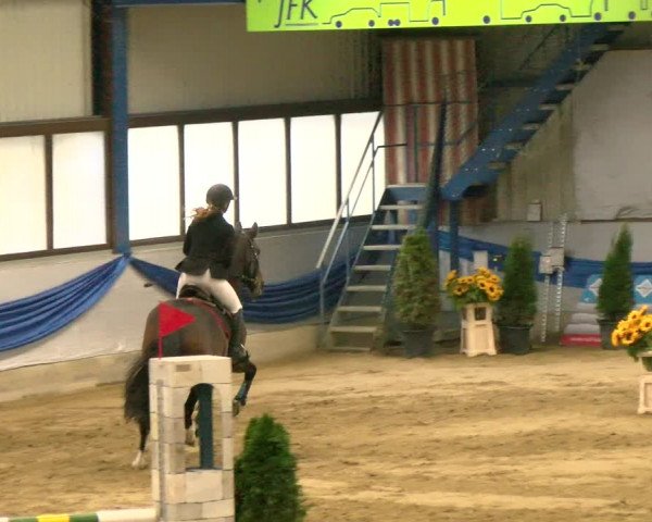 Reitturnier Buchs 2021