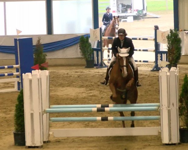 Reitturnier Buchs 2021