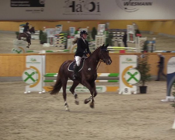 Reitturnier Münster-Amelsbüren 2023