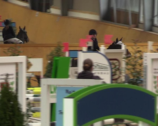 Reitturnier Münster-Amelsbüren 2023