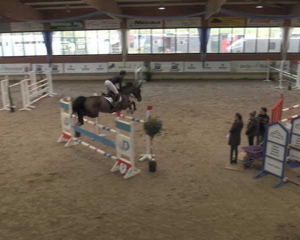 Reitturnier Heiden 2023