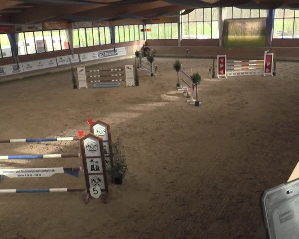 Reitturnier Heiden 2023