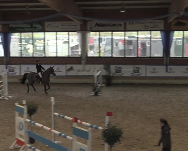 Reitturnier Heiden 2023