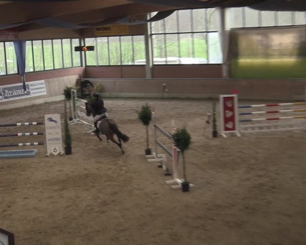 Reitturnier Heiden 2023
