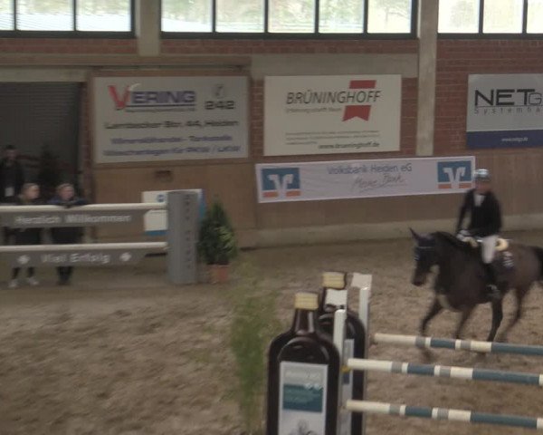 Reitturnier Heiden 2023