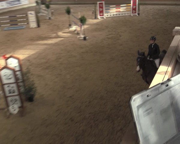 Reitturnier Heiden 2023