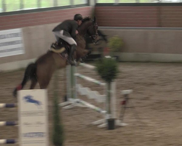 Reitturnier Heiden 2023