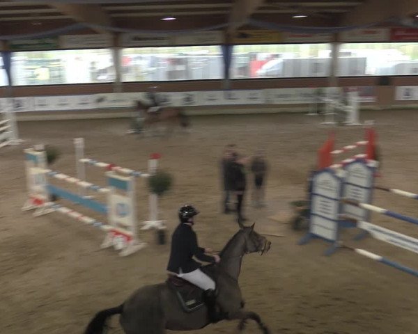 Reitturnier Heiden 2023