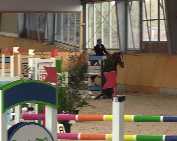 Reitturnier Münster-Amelsbüren 2023