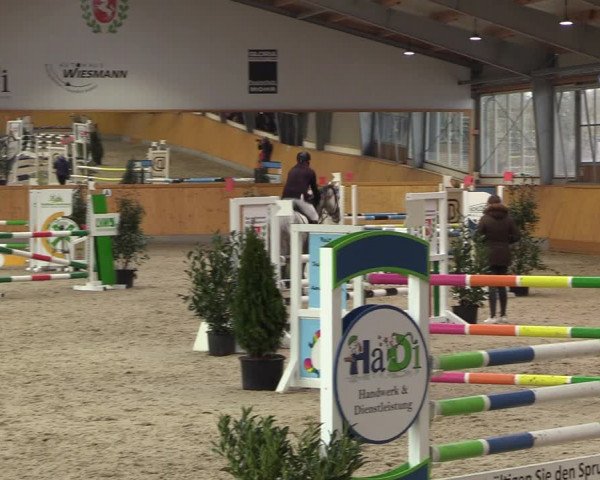 Reitturnier Münster-Amelsbüren 2023