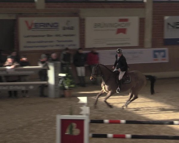 Reitturnier Heiden 2023