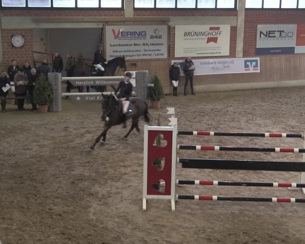 Reitturnier Heiden 2023