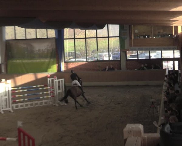 Reitturnier Heiden 2023