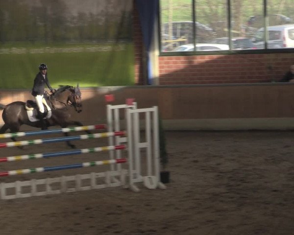 Reitturnier Heiden 2023