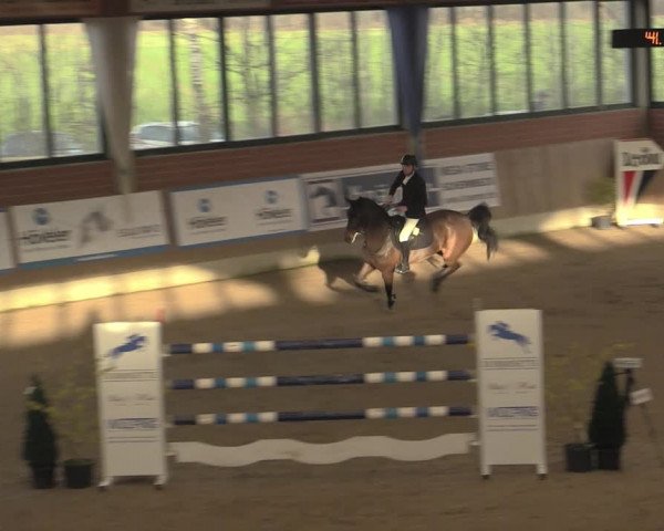 Reitturnier Heiden 2023