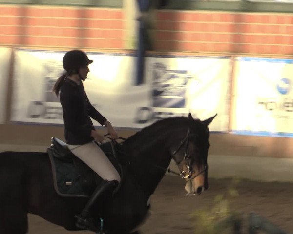 Reitturnier Heiden 2023