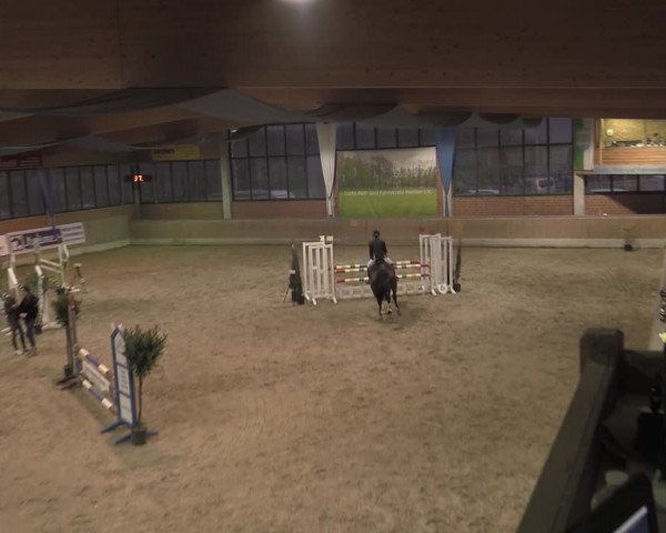 Reitturnier Heiden 2023
