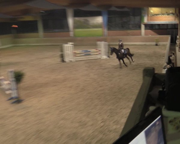 Reitturnier Heiden 2023