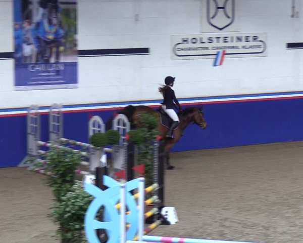 Reitturnier Elmshorn 2023