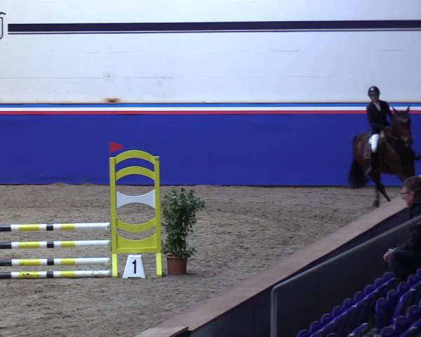 Reitturnier Elmshorn 2023
