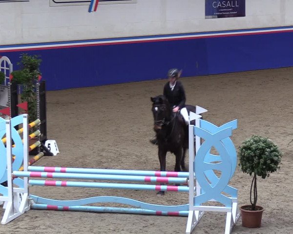 Reitturnier Elmshorn 2023