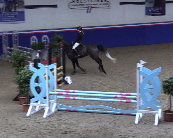 Reitturnier Elmshorn 2023