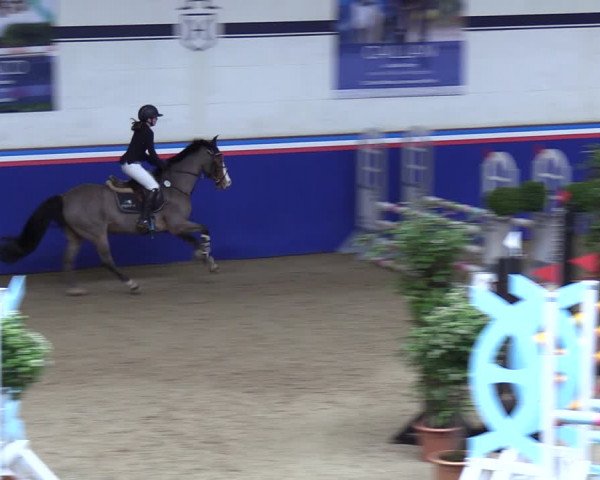 Reitturnier Elmshorn 2023