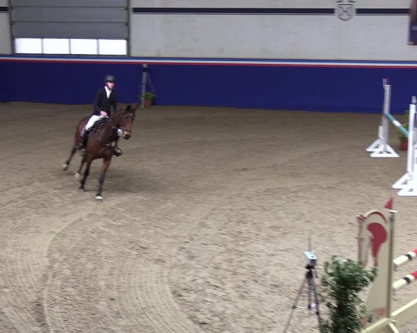 Reitturnier Elmshorn 2023