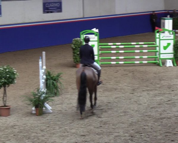 Reitturnier Elmshorn 2023