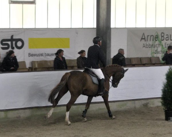 Reitturnier Karlsfeld/Obb. 2021