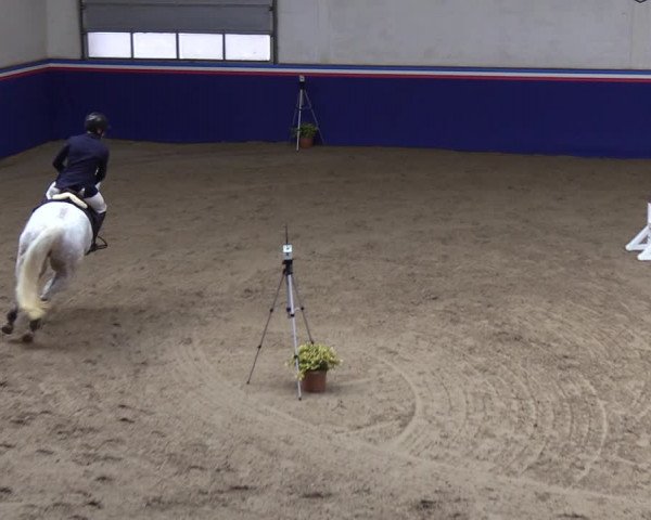 Reitturnier Elmshorn 2023
