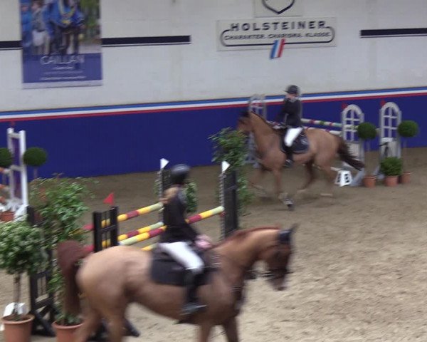 Reitturnier Elmshorn 2023