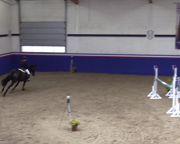 Reitturnier Elmshorn 2023