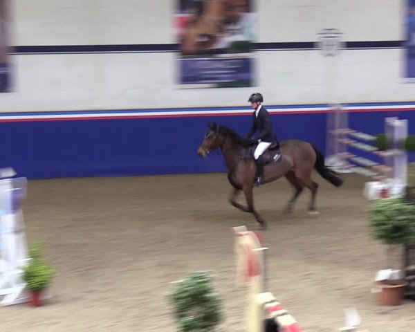 Reitturnier Elmshorn 2023