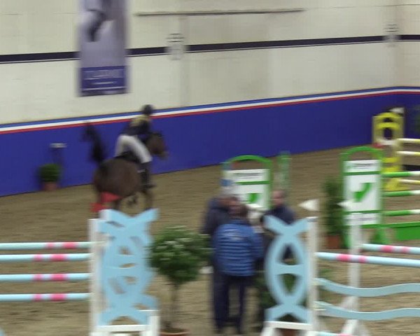 Reitturnier Elmshorn 2023