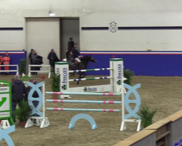 Reitturnier Elmshorn 2023