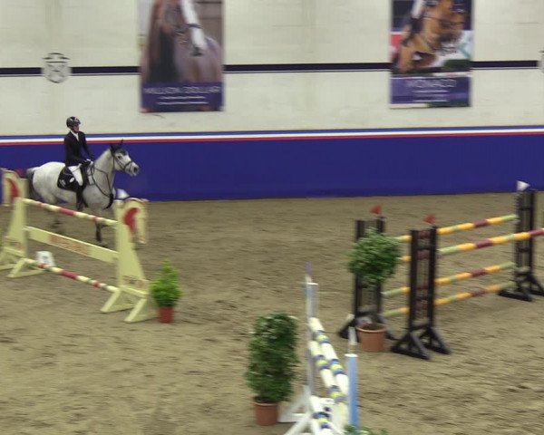 Reitturnier Elmshorn 2023