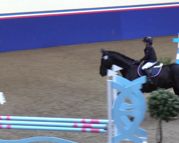 Reitturnier Elmshorn 2023