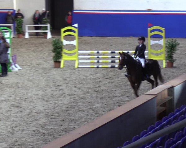 Reitturnier Elmshorn 2023